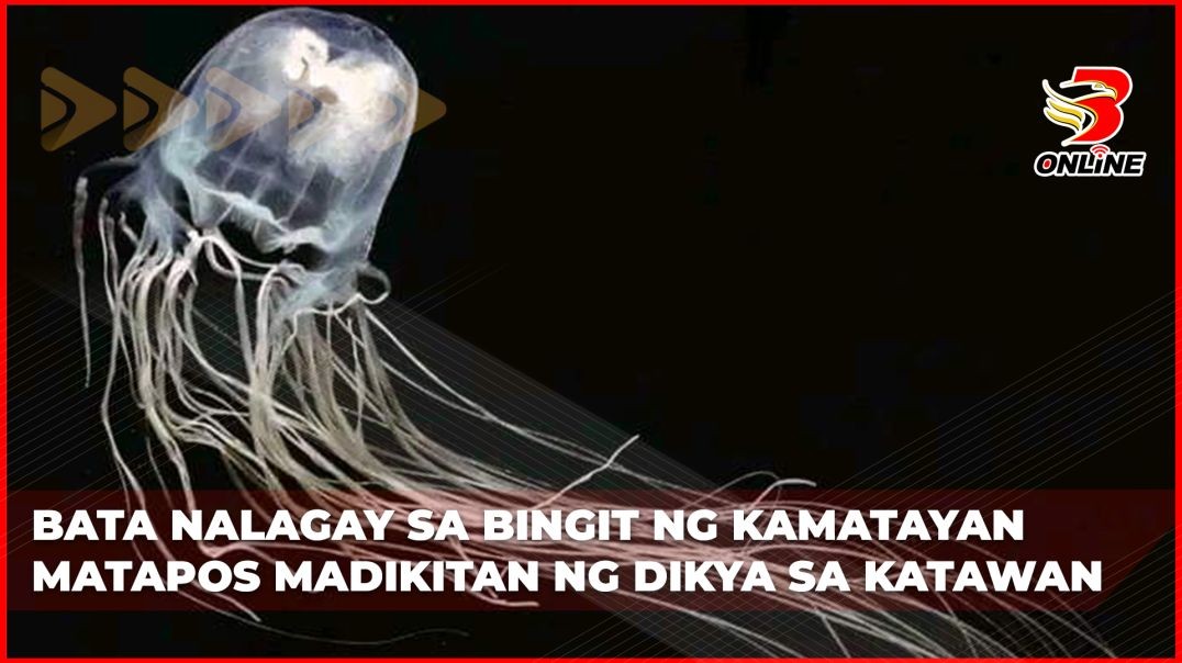 Bata nalagay sa bingit ng kamatayan matapos madikitan ng dikya sa katawan!