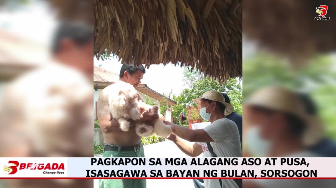 ⁣Pagkapon sa mga alagang aso at pusa, isasagawa sa bayan ng bulan, sorsogon