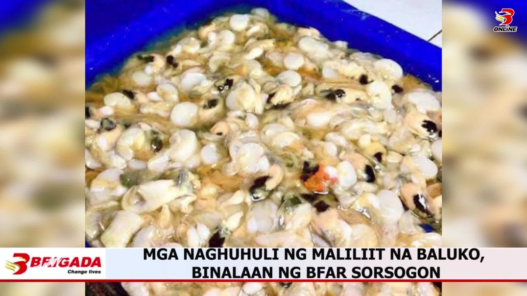 Mga naghuhuli ng maliliit na baluko, binalaan ng BFAR sorsogon
