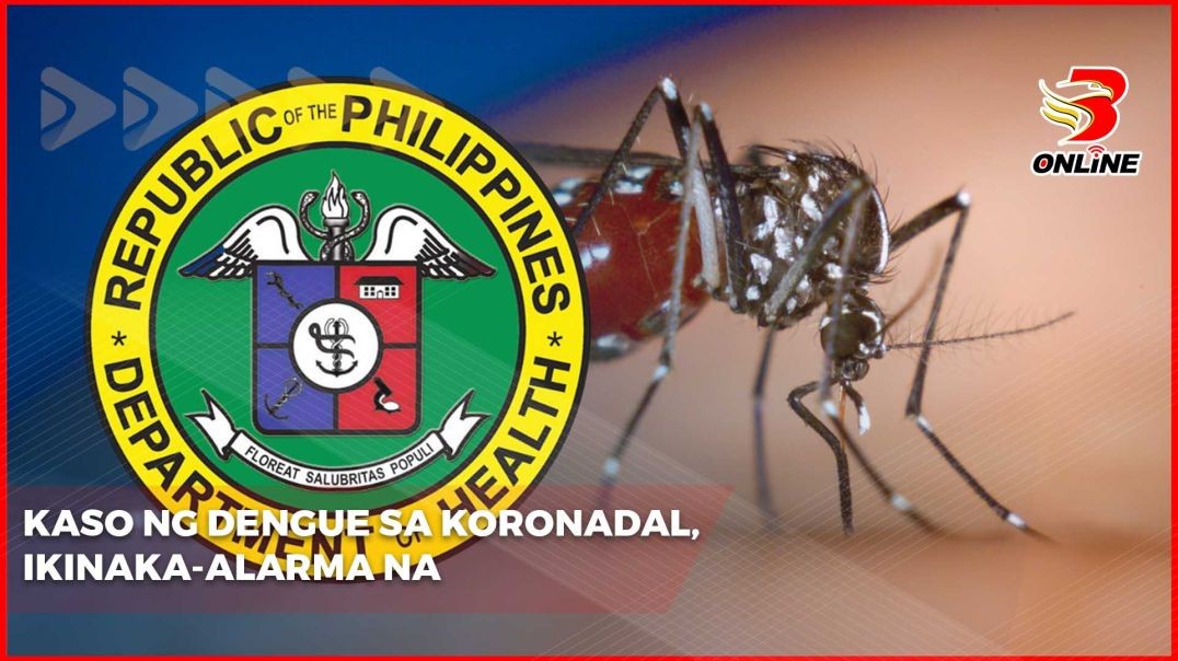 Kaso ng dengue sa Koronadal, ikinaka-alarma na!