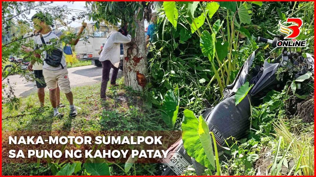 Naka-motor sumalpok sa puno ng kahoy, patay