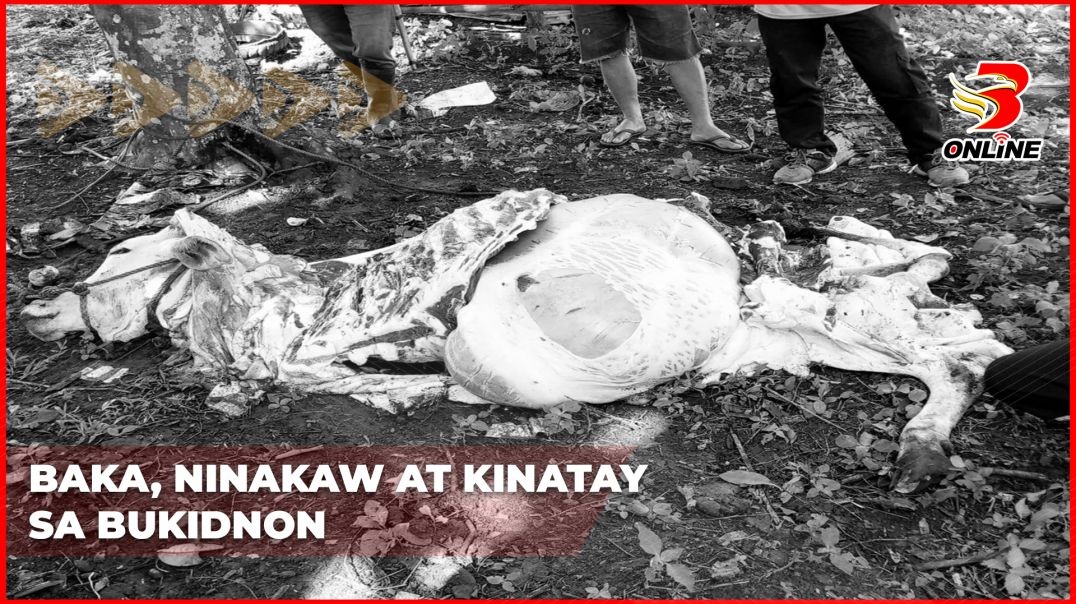 Baka, ninakaw at kinatay sa Bukidnon