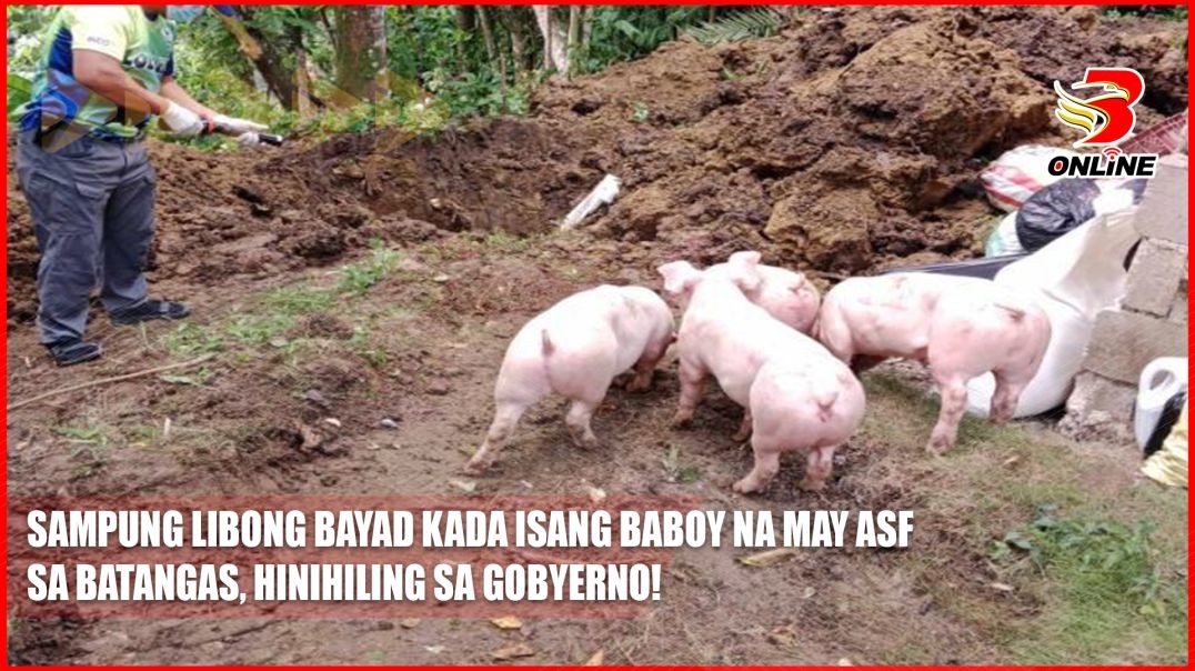 ⁣Sampung libong bayad kada isang baboy na may ASF