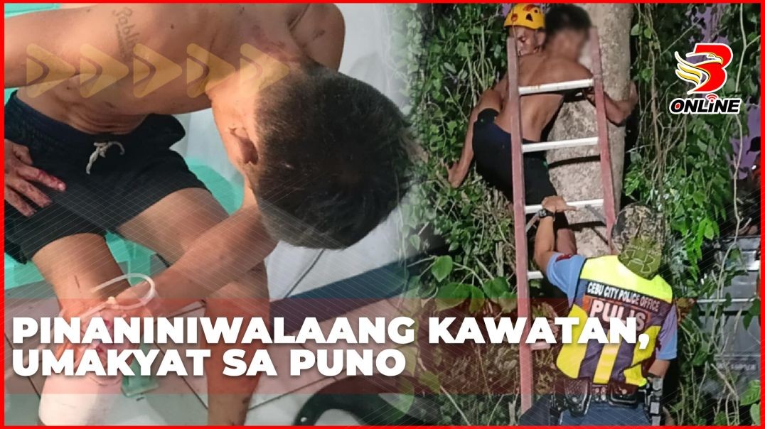 Pinaniniwalaang kawatan, umakyat sa puno