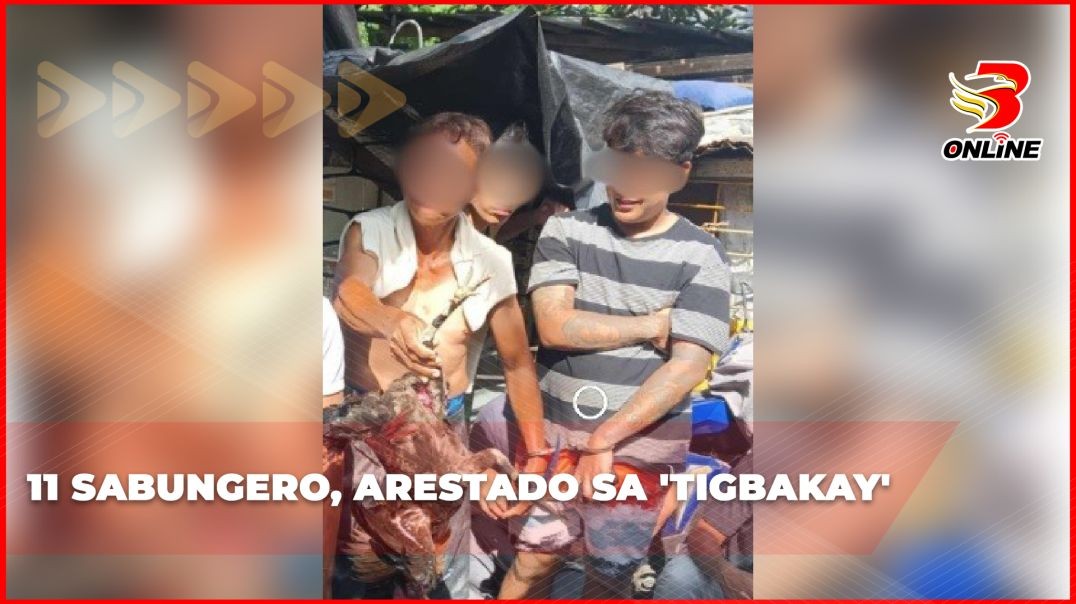 11 sabungero, arestado sa 'tigbakay'