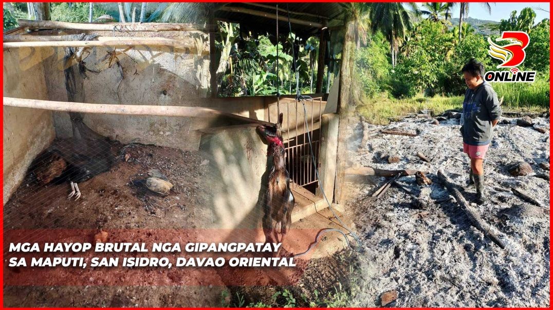 Mga hayop brutal nga gipangpatay sa  Davao Oriental