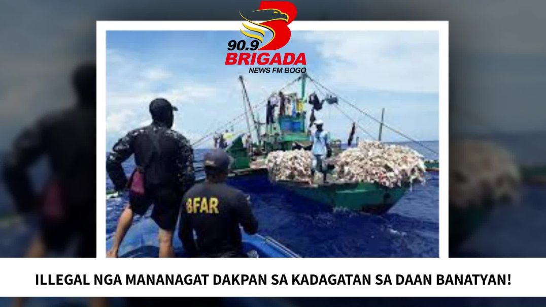 ILLEGAL NGA MANANAGAT DAKPAN SA KADAGATAN SA DAAN BANATYAN! -