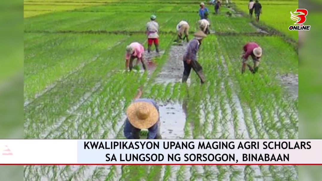 ⁣Kwalipikasyon upang maging Agri Scholars sa lungsod ng Sorsogon, binabaan