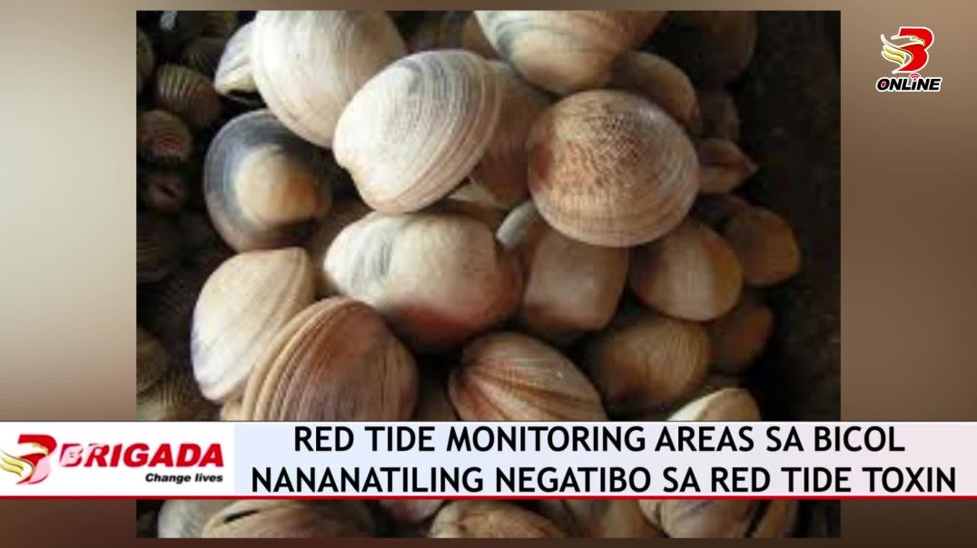 ⁣Red Tide monitoring areas sa Bicol nananatiling negatibo sa Red Tide Toxin