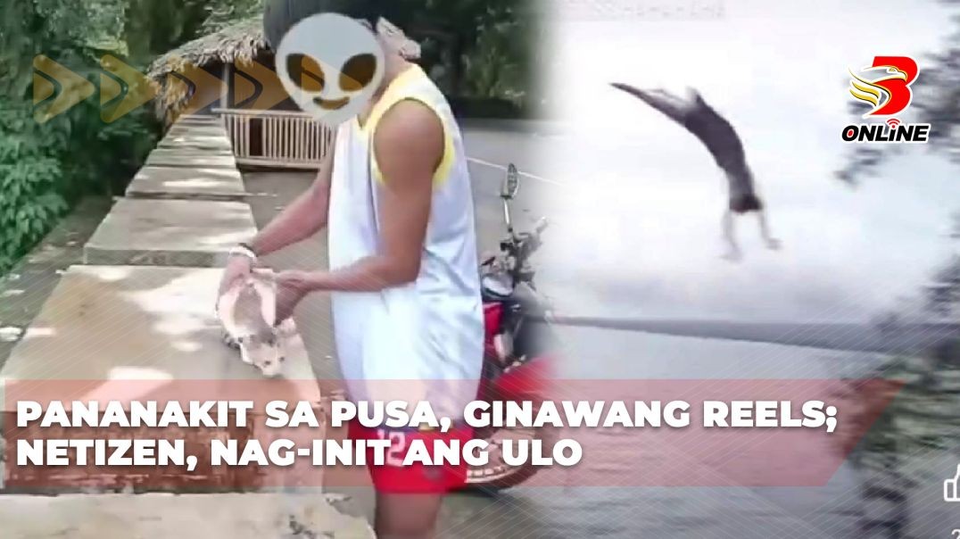 ⁣Pananakit sa pusa, ginawang reels; netizen, nag-init ang ulo