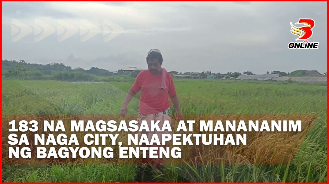 183 na magsasaka at manananim sa Naga City, naapektuhan ng Bagyong Enteng