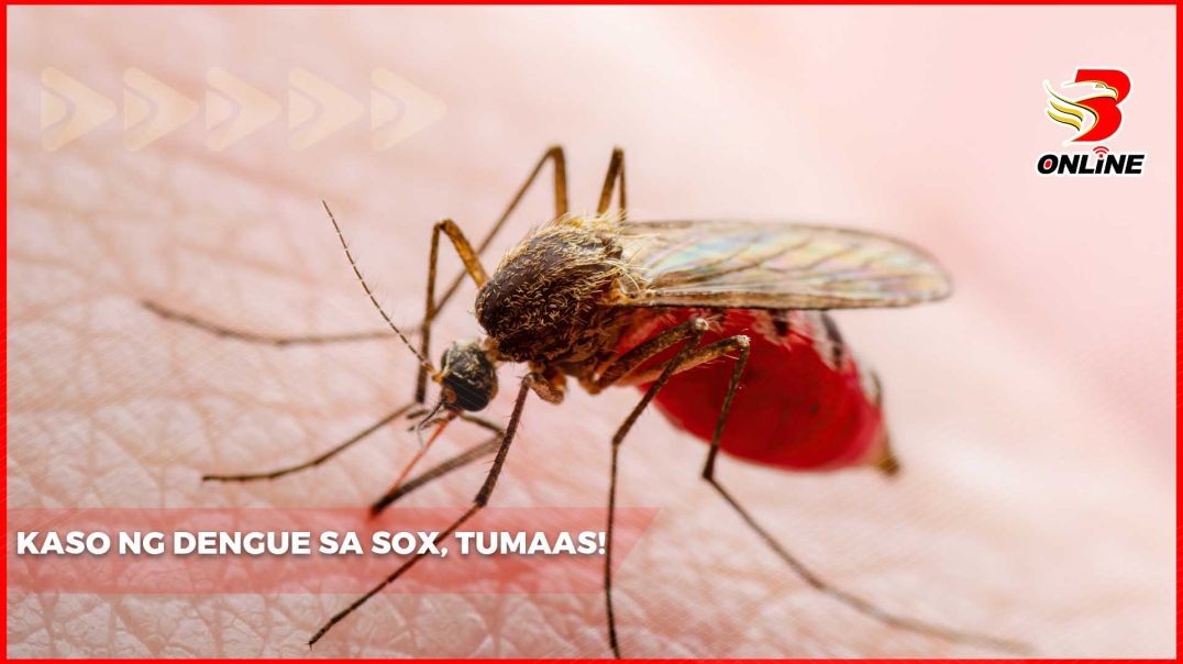 Kaso ng dengue sa SOX, tumaas!