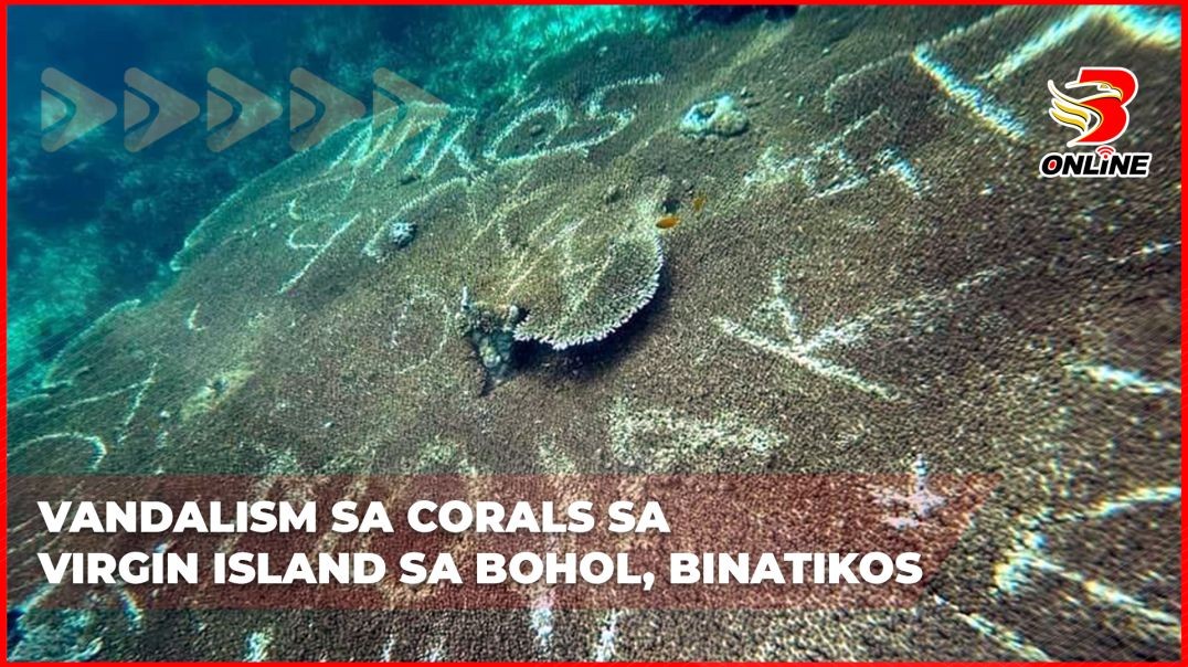 ⁣Vandalism sa corals sa Virgin Island sa Bohol, binatikos