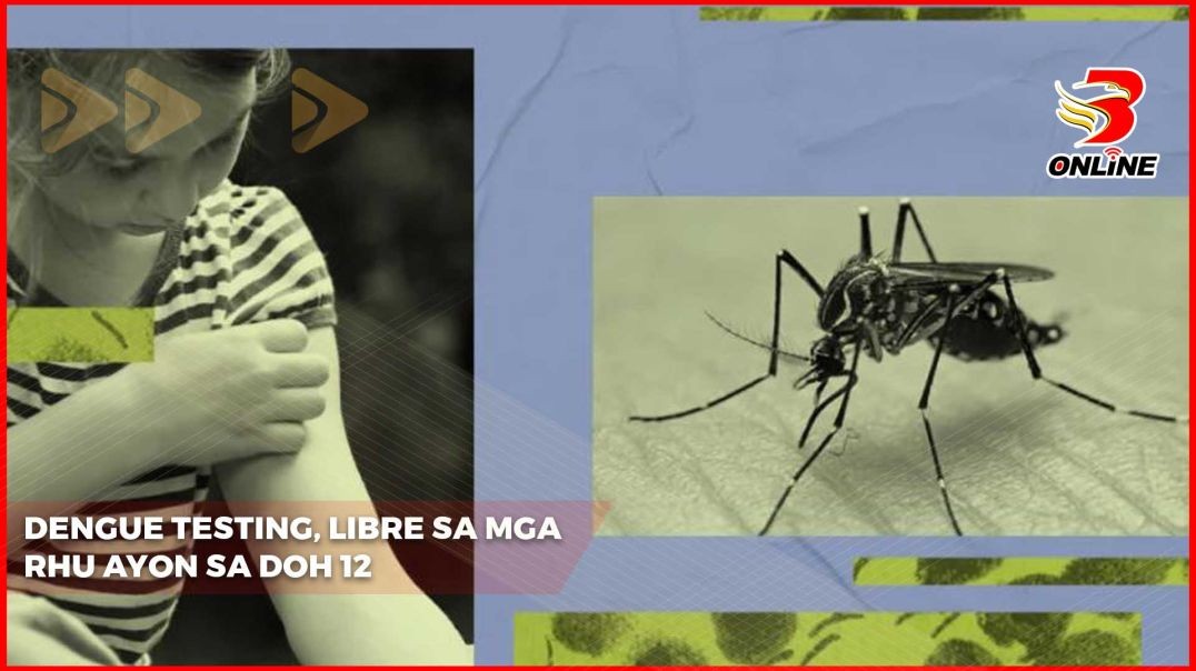 Dengue testing, libre sa mga RHU ayon sa DOH 12