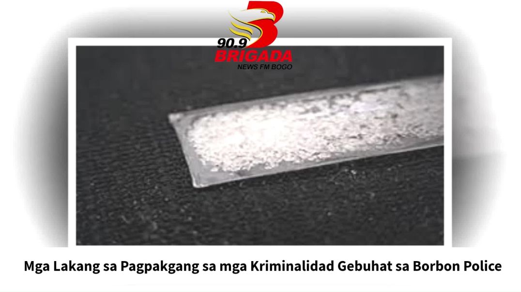 Mga Lakang sa Pagpakgang sa mga Kriminalidad Gebuhat sa Borbon Police