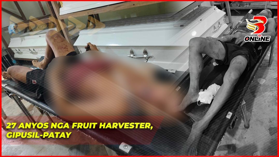 27 anyos nga Fruit Harvester, gipusil-patay