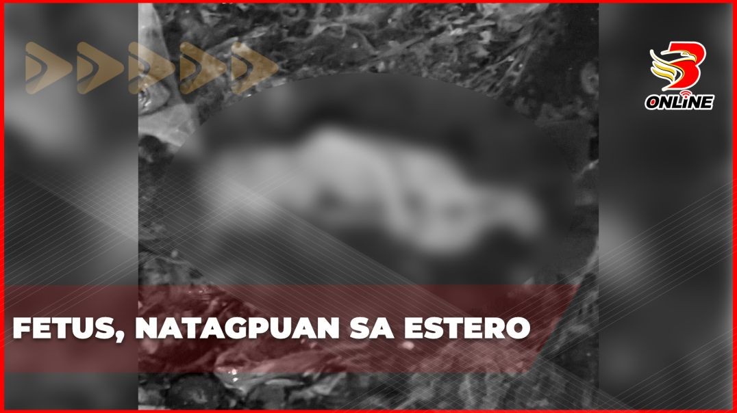 Fetus, natagpuan sa estero