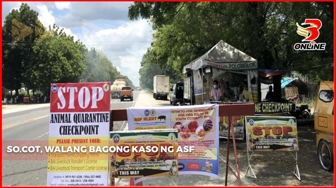 So.Cot, walang bagong kaso ng ASF