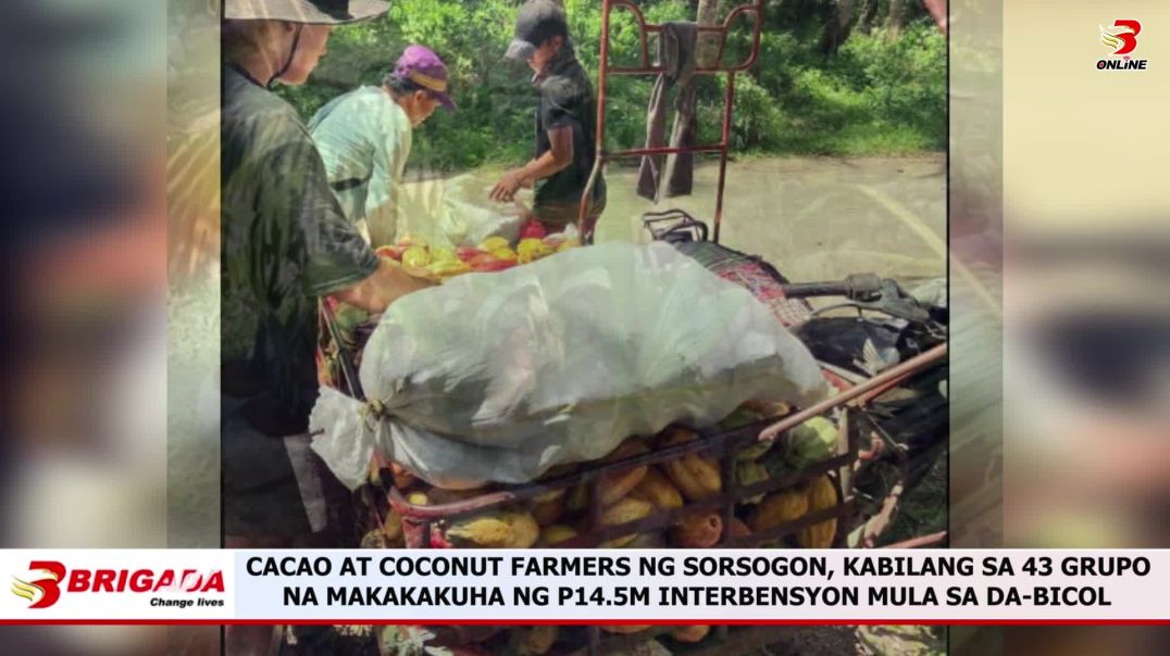 ⁣Cacao at Coconut Farmers ng Sorsogon, Kabilang sa 43 Grupo na Makakakuha ng P14.5M Interbensyon mula
