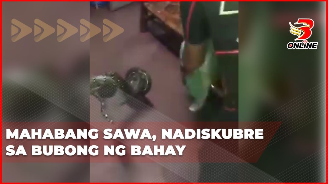 Mahabang sawa, nadiskubre sa bubong ng bahay