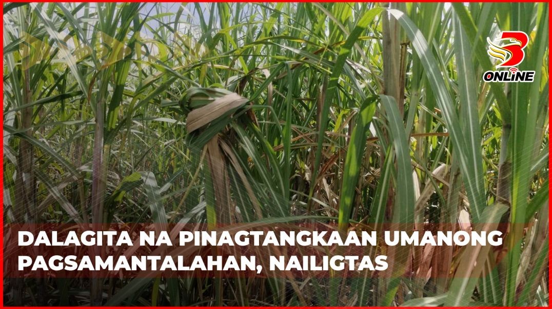 Dalagita na pinagtangkaan umanong pagsamantalahan, nailigtas