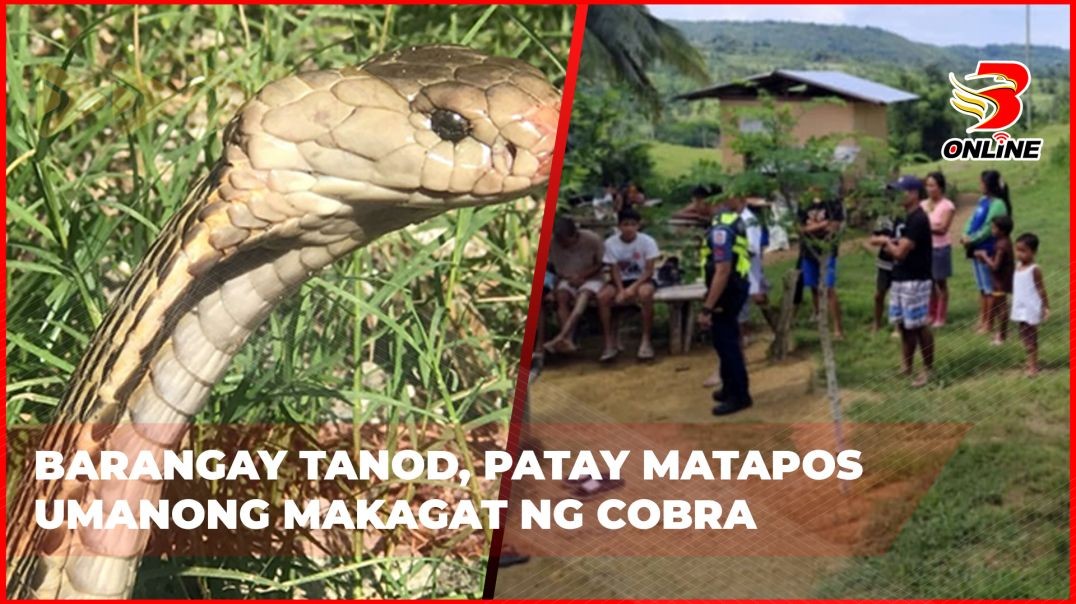 ⁣Barangay Tanod, patay matapos umanong makagat ng cobra