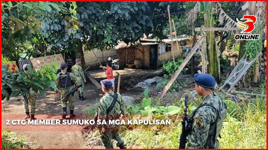 2 miyembro ng NPA, sumuko