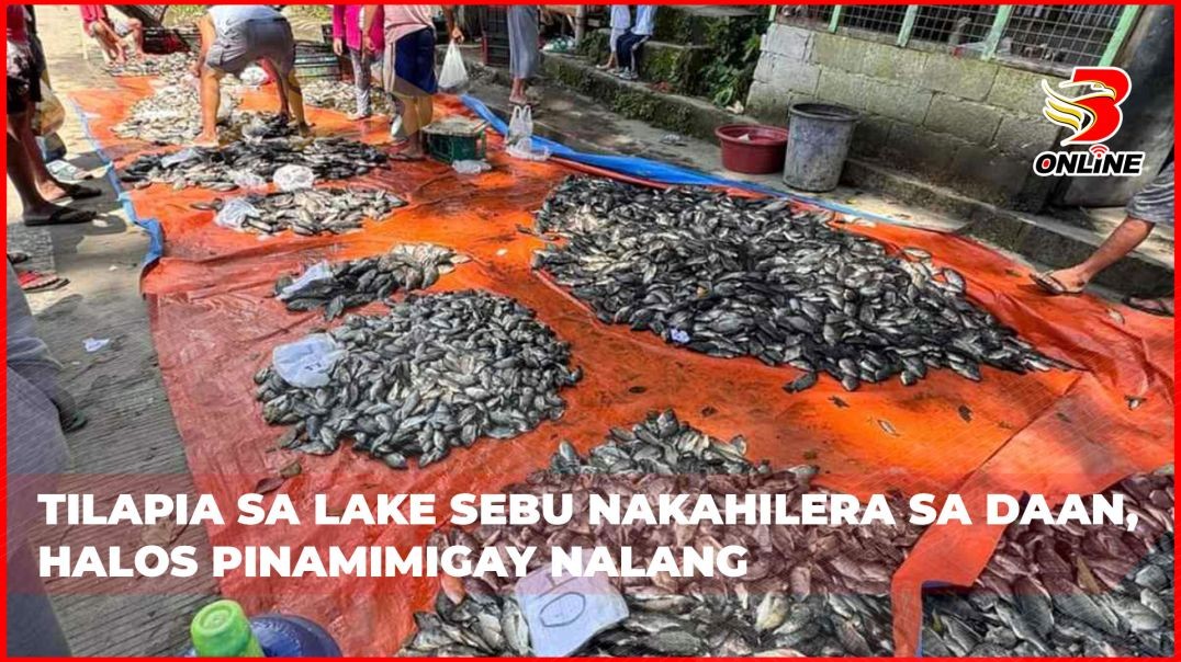 ⁣Tilapia sa Lake Sebu nakahilera sa daan, halos pinamimigay nalang