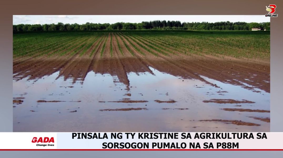 Pinsala ng TY Kristine sa agrikultura sa Sorsogon pumalo na sa P88m