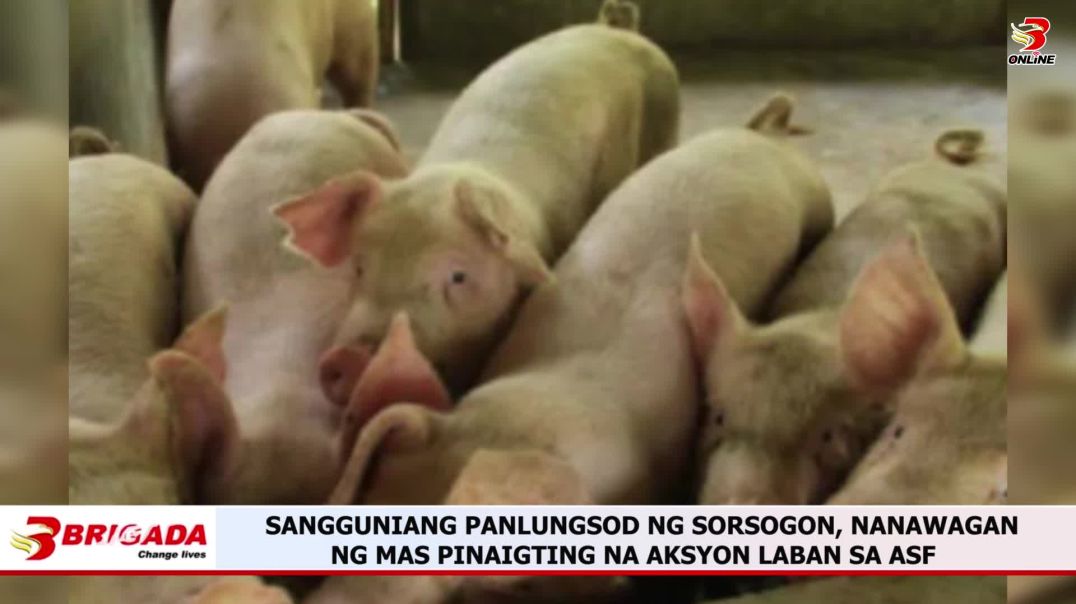 ⁣Sangguniang Panlungsod ng Sorsogon, Nanawagan ng mas Pinaigting na Aksyon Laban sa ASF