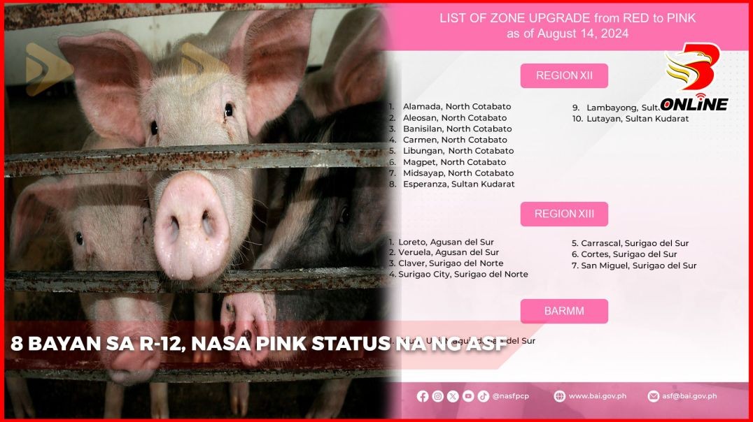 ⁣8 bayan sa R-12, nasa pink status na ng ASF