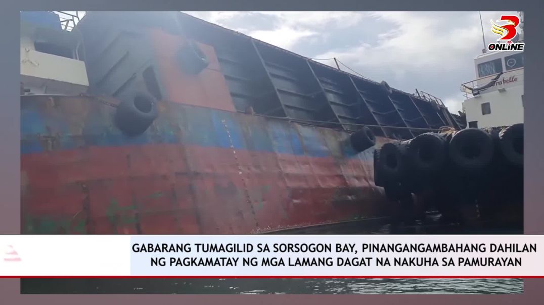 Gabarang tumagilid sa Sorsogon Bay, pinangangambahang dahilan ng pagkamatay ng mga lamang dagat na n