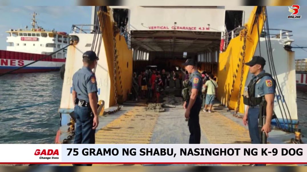 75 gramo ng shabu, nasinghot ng k-9 dog