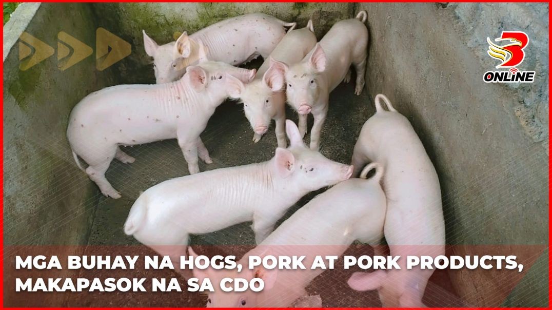 Mga buhay na hogs, pork at pork products, makakapasok na sa Cagyan de Oro