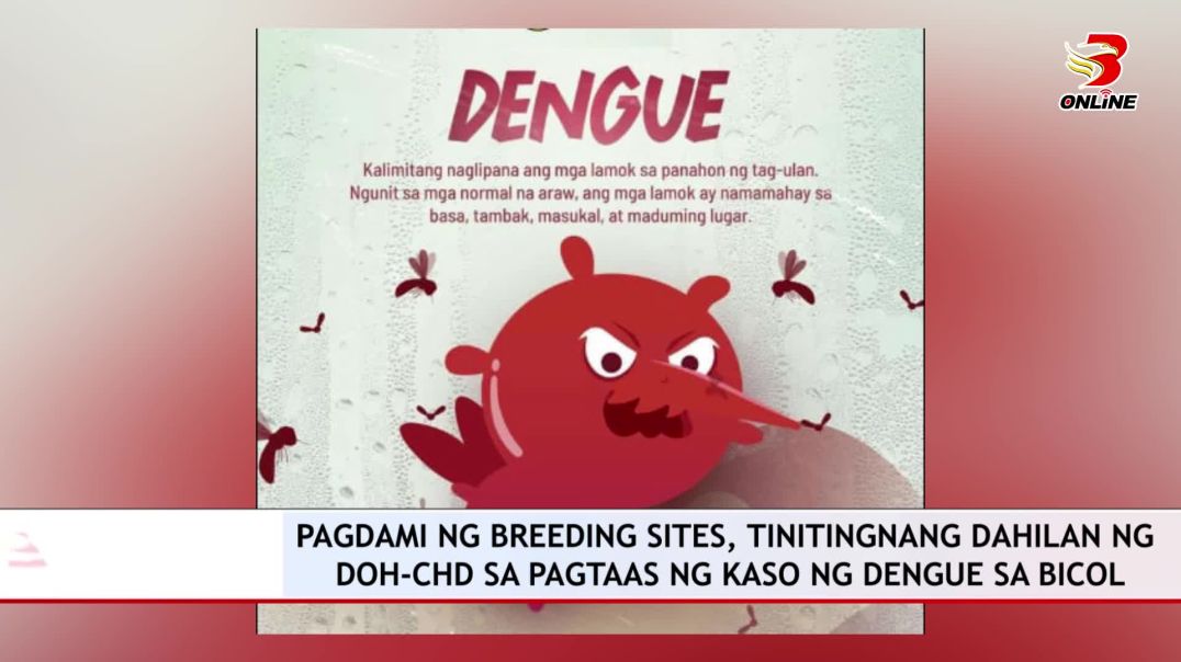 ⁣Pagdami ng Breeding Sites, Tinitingnang Dahilan ng DOH-CHD sa Pagtaas ng Kaso ng Dengue sa Bicol