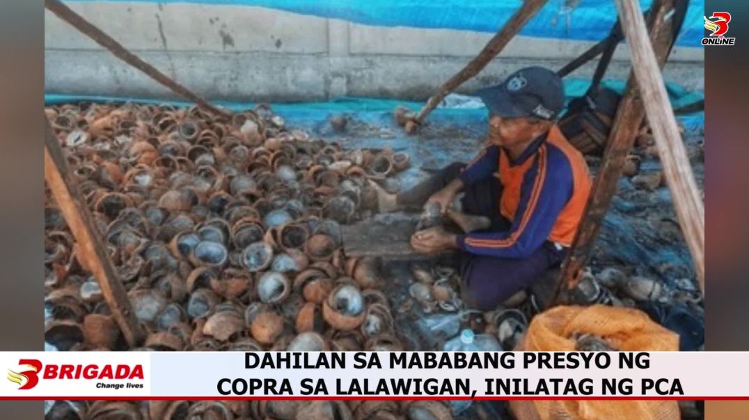 ⁣Cocotero’s sa Sorsogon, Umaaray sa Murang Presyohan ng Copra; PCA Ipinaliwanag kung Bakit
