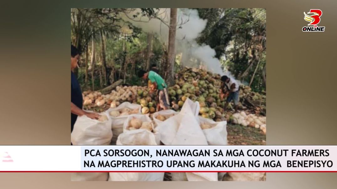 PCA Sorsogon, nanawagan sa mga Coconut Farmers na magprehistro upang makakuha ng mga  benepisyo