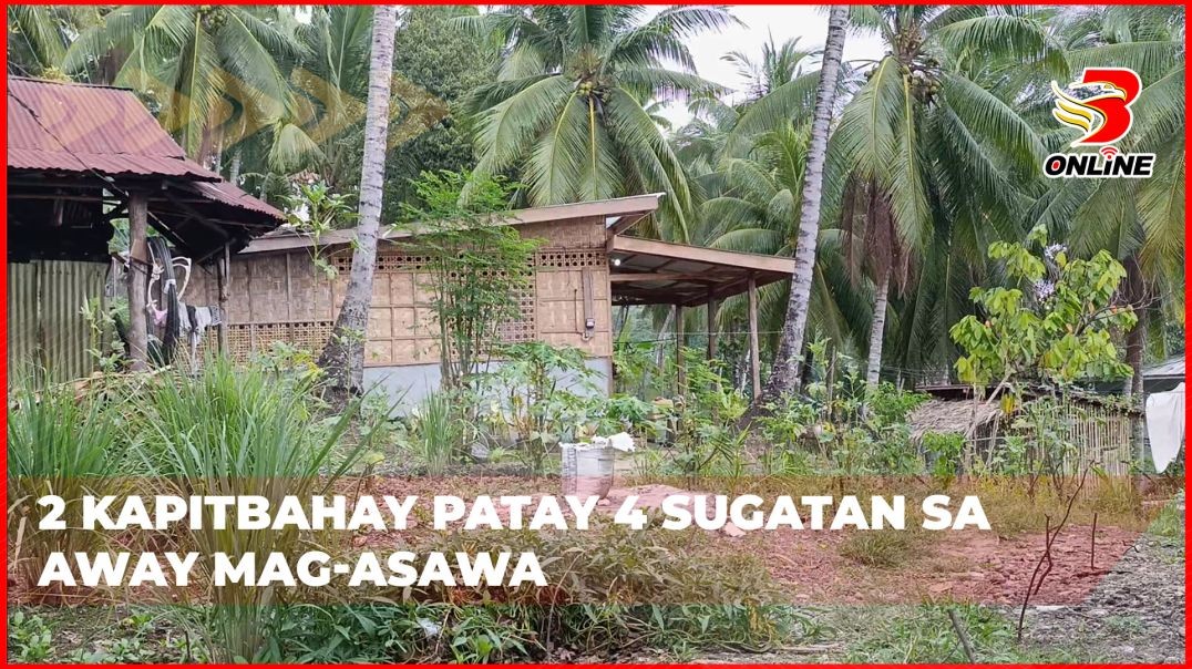 2 kapitbahay patay 4 sugatan sa away mag-asawa