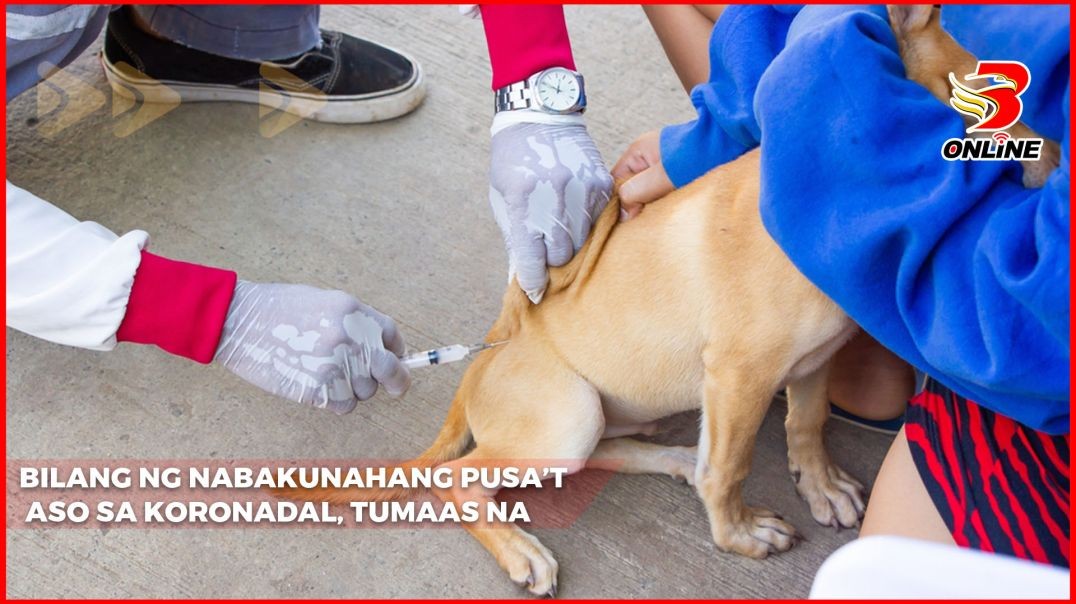 ⁣Bilang ng nabakunahang pusa’t aso sa Koronadal, tumaas na