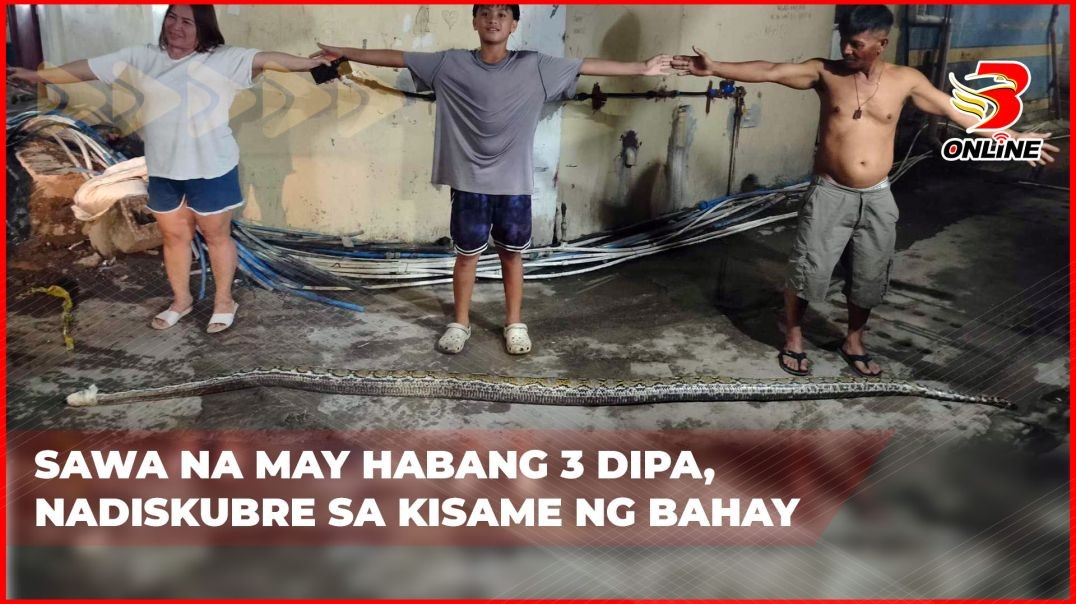 Sawa na may habang 3 dipa, nadiskubre sa kisame ng bahay