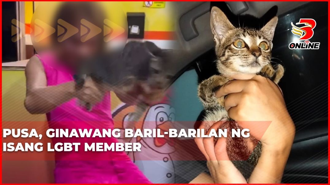 ⁣Pusa, ginawang baril-barilan ng isang LGBT member