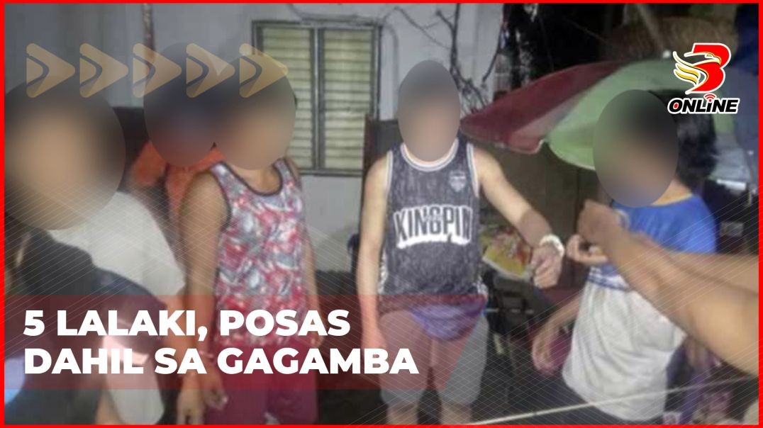 ⁣5 lalaki, posas dahil sa gagamba
