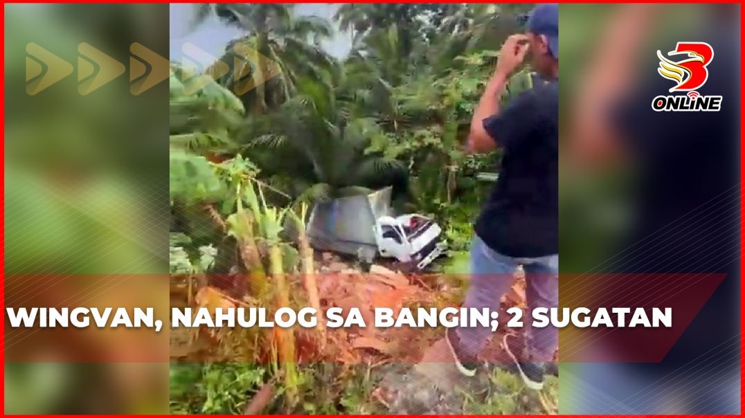 Wingvan, nahulog sa bangin; 2 sugatan