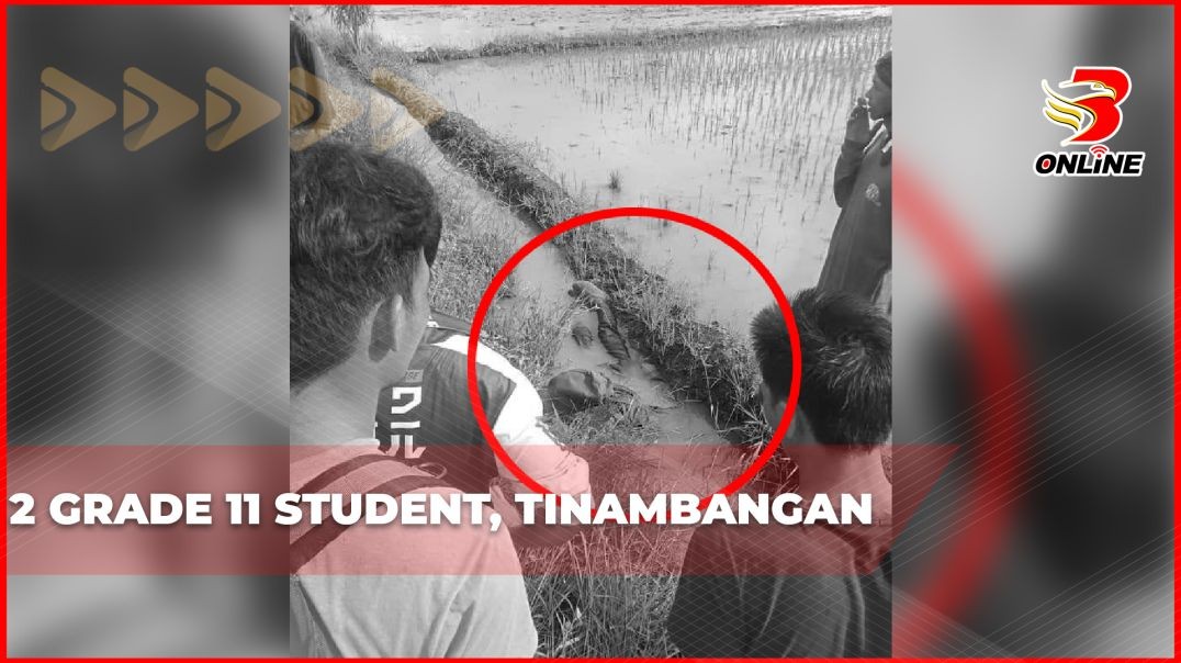2 Grade 11 student, tinambangan