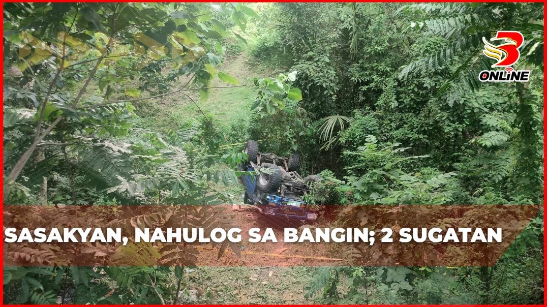 Sasakyan, nahulog sa bangin; 2 sugatan
