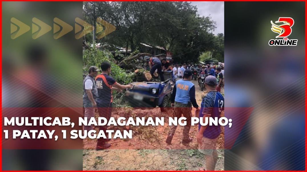Multicab, nadaganan ng puno; 1 patay, 1 sugatan
