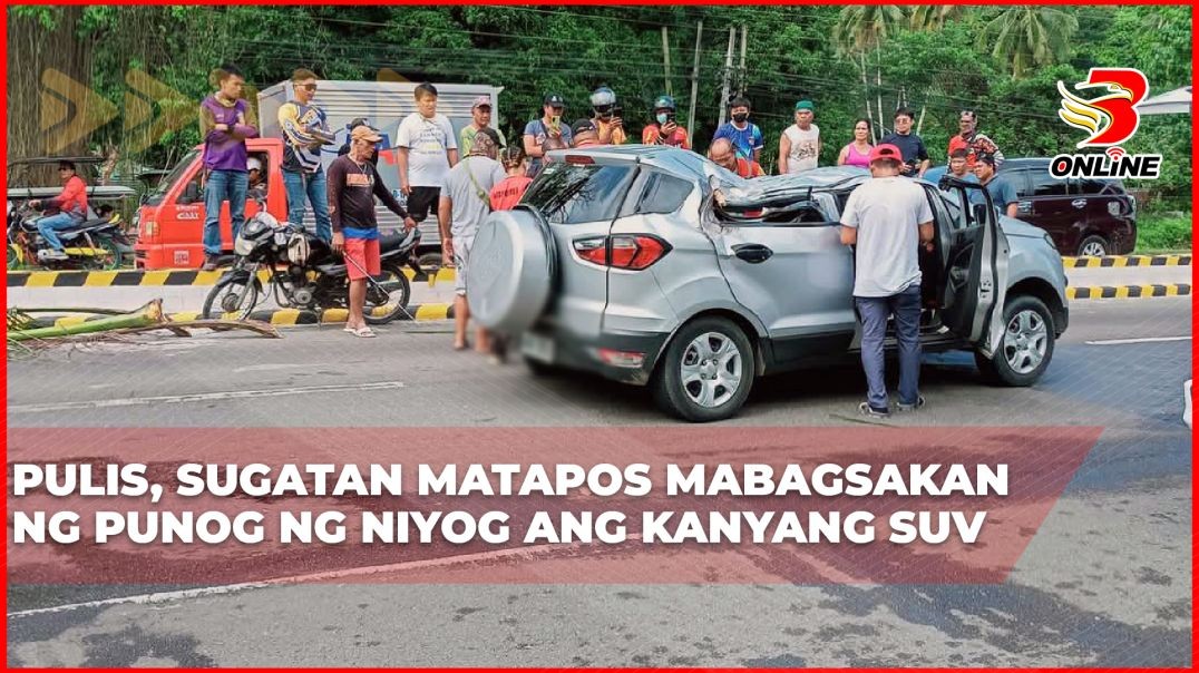 Pulis, sugatan matapos mabagsakan ng puno ng niyog ang kanyang SUV