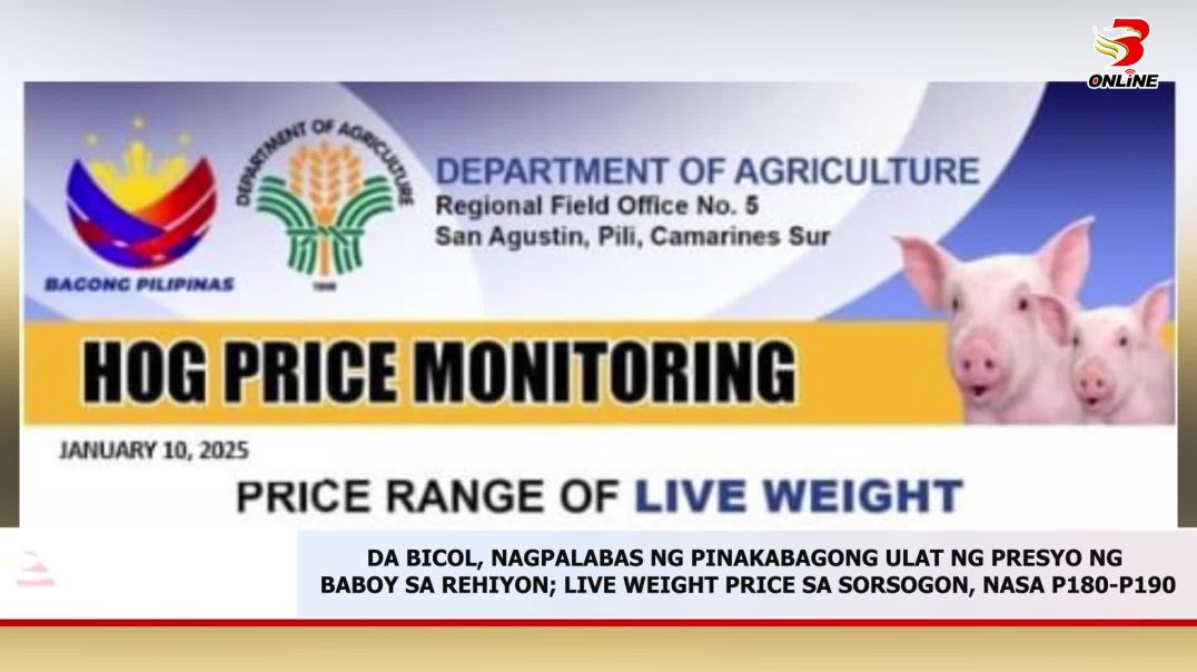 ⁣Da Bicol, nagpalabas ng pinakabagong ulat ng presyo ng baboy sa rehiyon; live weight price sa Sorsog