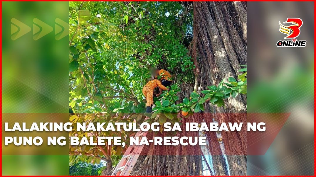 ⁣Lalaking nakatulog sa ibabaw ng puno ng balete, na-rescue