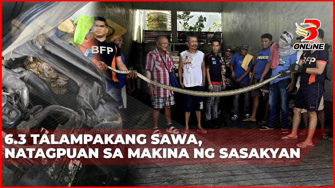 6.3 talampakang sawa, natagpuan sa makina ng sasakyan